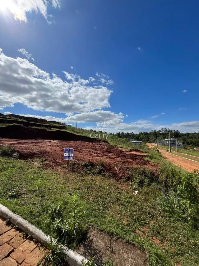 Terreno, foto 3