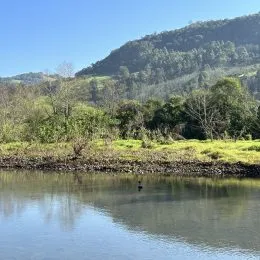 Vista de um corpo d'água com vegetação densa ao fundo em Lajeado.