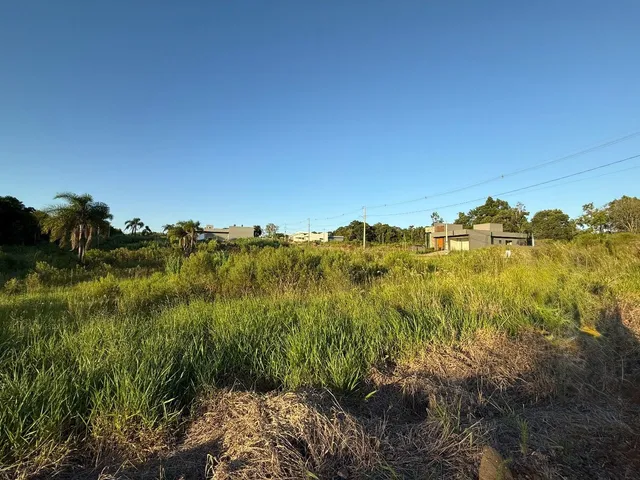 Terreno, foto 3