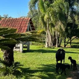 Área rural, foto 2