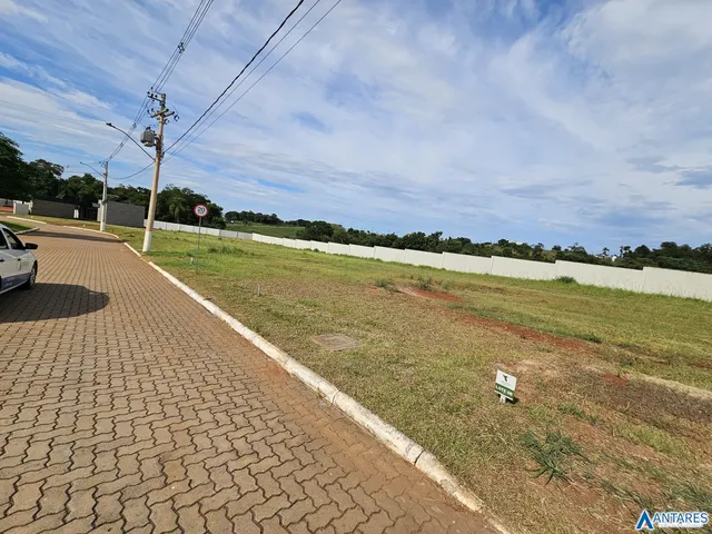 Terreno, foto 3