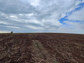 Terreno, foto 7