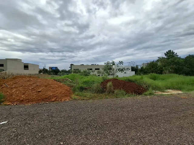 Terreno