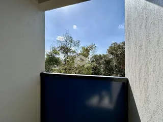 Apartamento com 2 dormitórios, foto 8