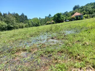 Vista de uma área rural com vegetação densa e campo alagado em Lajeado, Brasil.