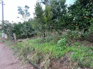 Área rural com 3 dormitórios, foto 9
