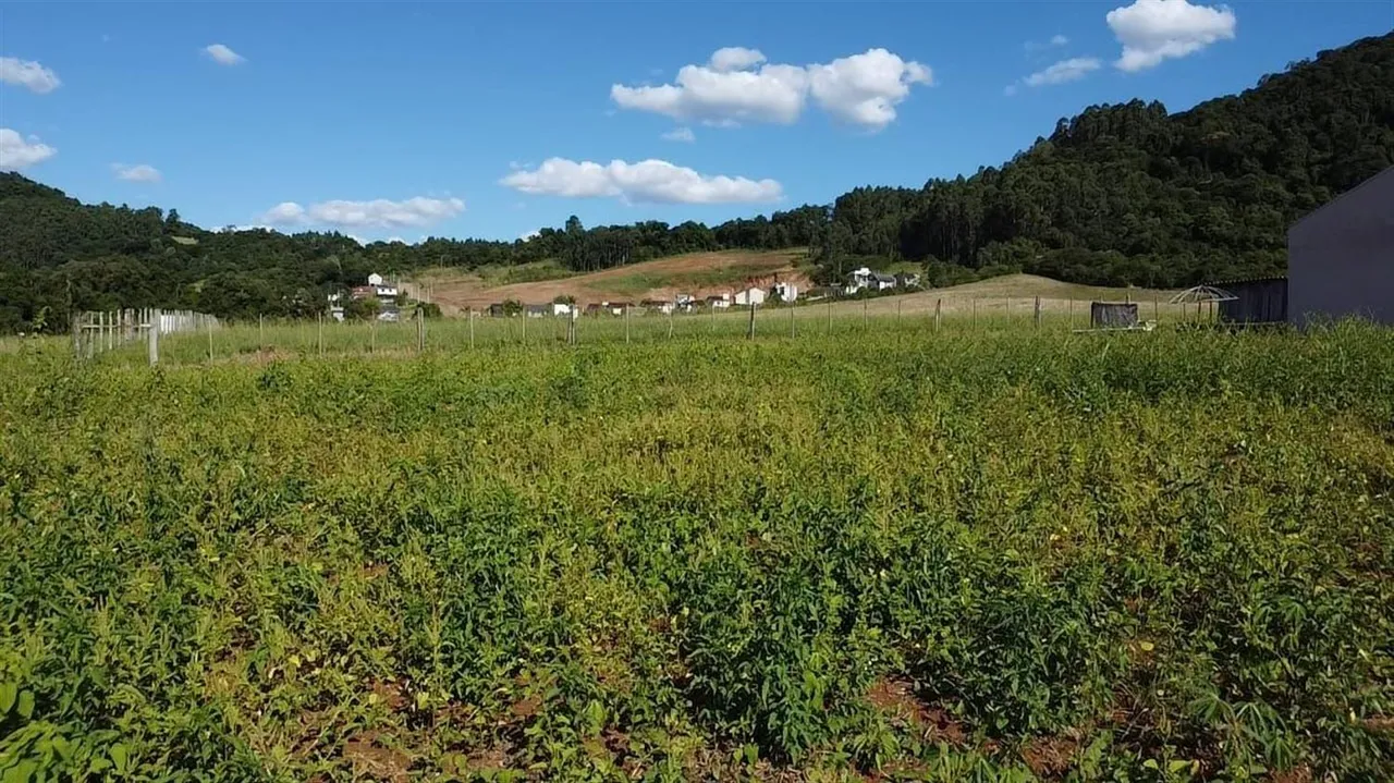Terreno, foto 1
