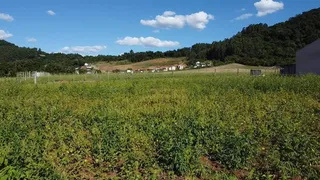 Terreno, foto 1