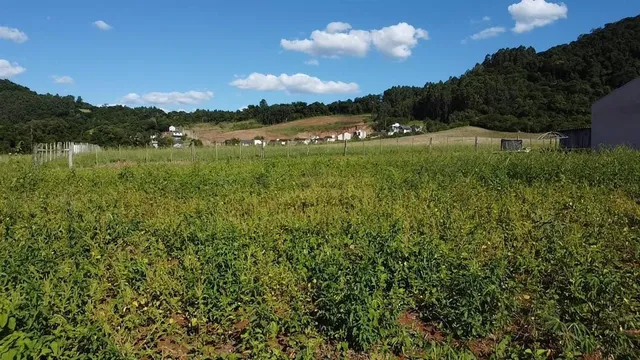 Terreno