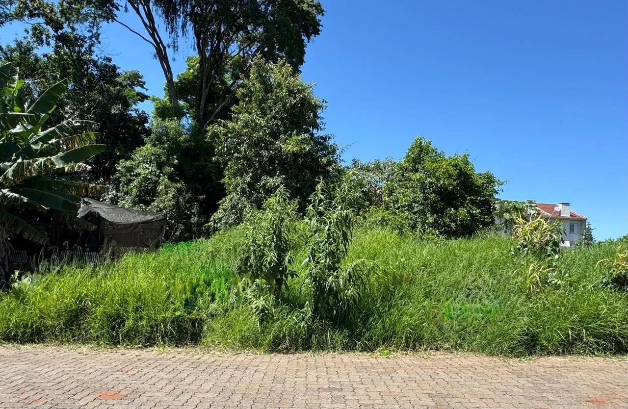 Terreno, foto 1