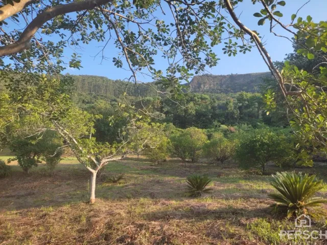Área rural, foto 2