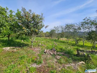 Área rural, foto 19