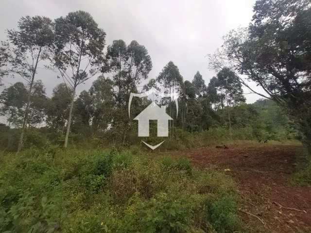 Área rural, foto 3