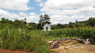 Paisagem de vegetação densa com terra no primeiro plano.