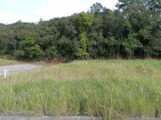 Terreno, foto 2