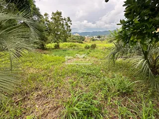 Terreno, foto 3