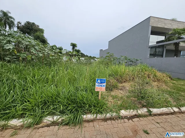 Terreno, foto 3