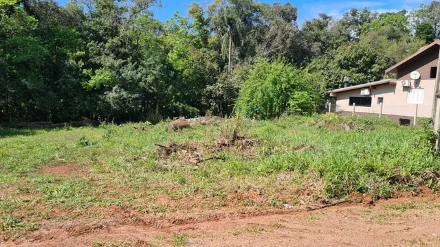 Terreno
