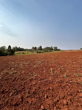 Terreno, foto 3