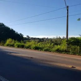 Vista de uma estrada com vegetação densa ao longo da beira em Lajeado, Brasil.