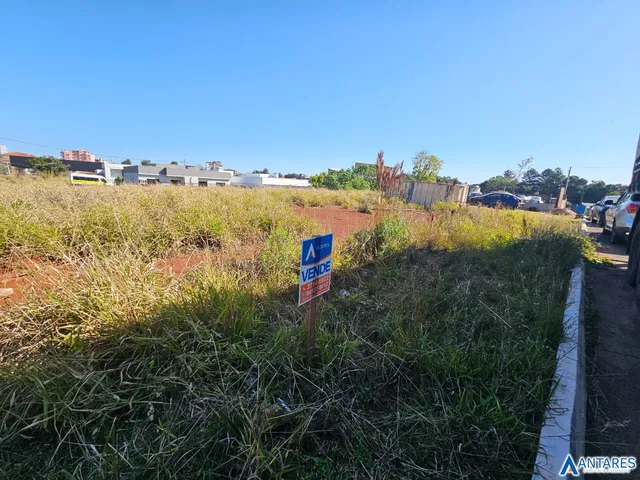 Terreno, foto 2
