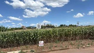 Terreno, foto 5