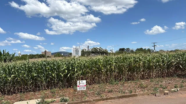 Terreno, foto 5