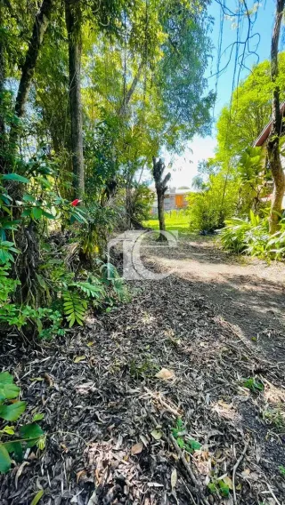 Terreno, foto 5