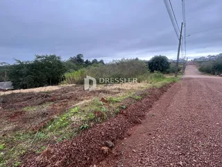 Vista de uma estrada de terra ao lado de vegetação densa.