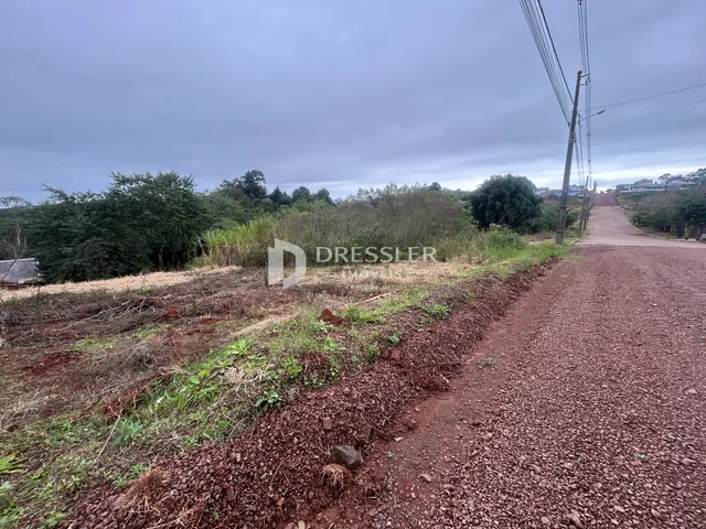 Vista de uma estrada de terra ao lado de vegetação densa.