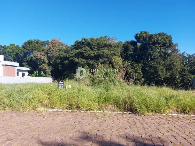 Vista exterior da propriedade com vegetação densa e piso de tijolos.