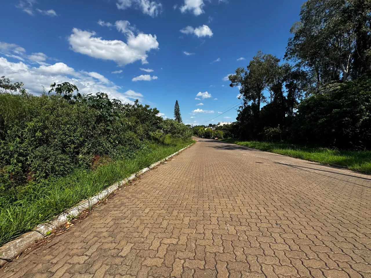 Terreno, foto 1