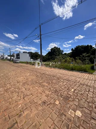 Vista da pavimentação de paralelepípedos de uma rua.
