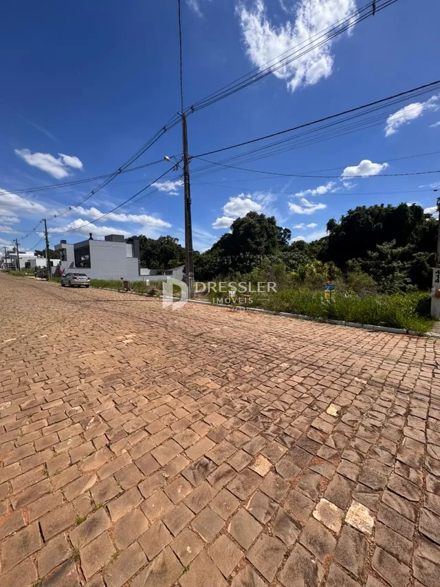 Vista da pavimentação de paralelepípedos de uma rua.
