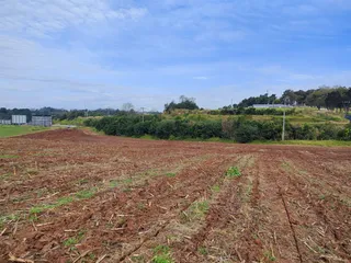 Terreno, foto 12