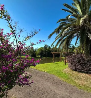 Terreno, foto 8