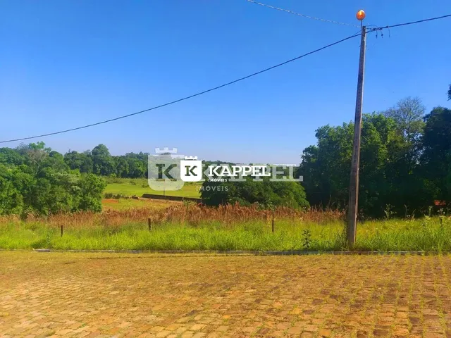 Vista de um campo aberto com vegetação no horizonte sob um céu azul.