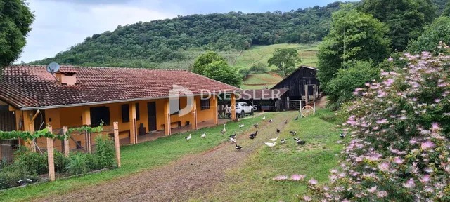 Área rural, foto 5