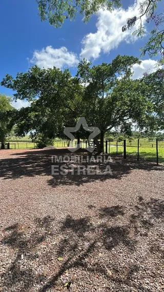 Área rural com 3 dormitórios, foto 8