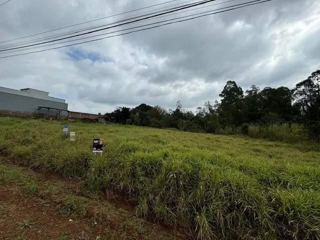 Terreno, foto 2