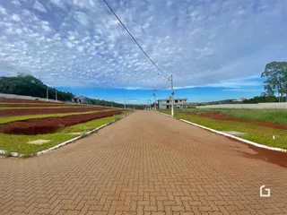 Vista de uma estrada alinhada com campos cultivados em Lajeado, Brasil.