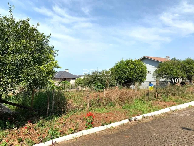 Terreno, foto 4