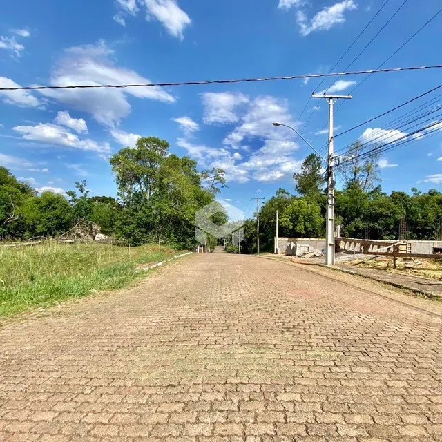 Vista de uma estrada de terra em uma área arborizada.