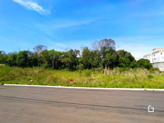 Terreno