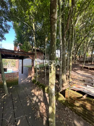 Área rural com 1 dormitório, foto 8