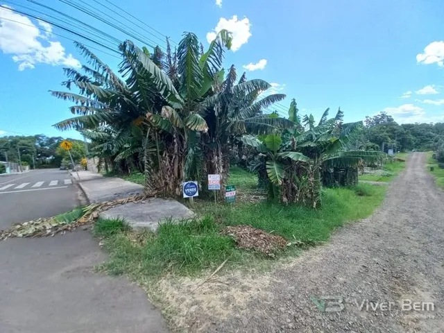 Terreno, foto 3