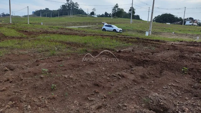 Vista de uma área de campo aberto com vegetação e estrada de terra.