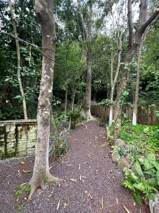 Casa com 2 dormitórios, foto 3