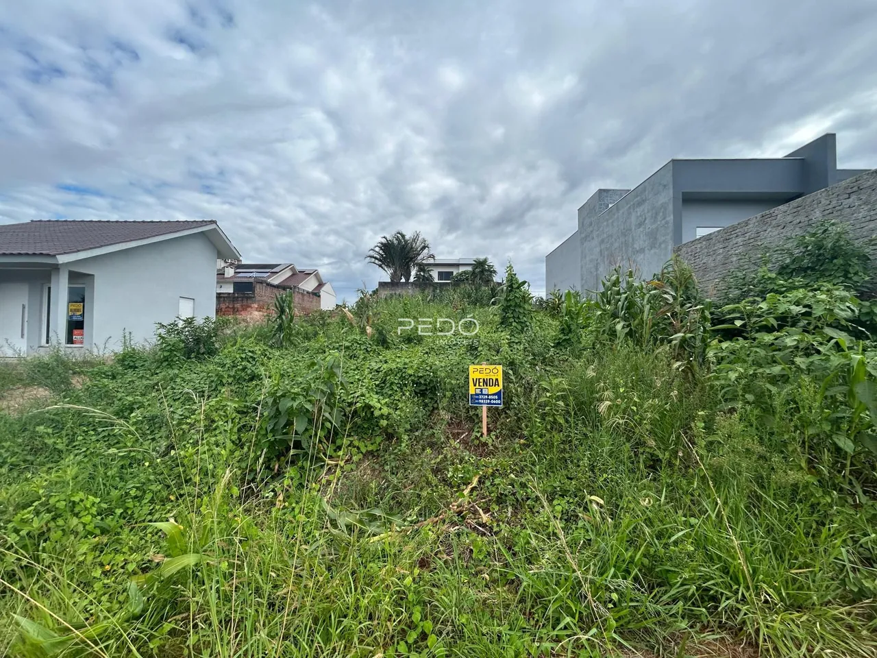 Vista da fachada de uma residência em Lajeado, Brasil, com vegetação densa na frente.