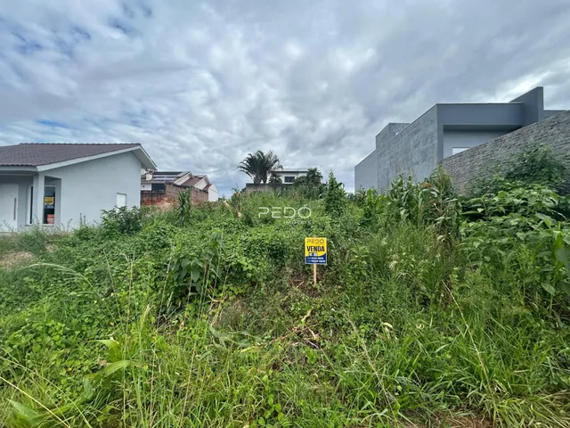 Vista da fachada de uma residência em Lajeado, Brasil, com vegetação densa na frente.